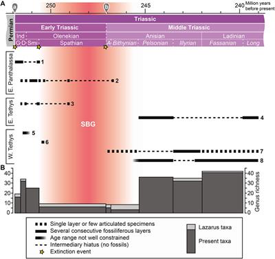 A Hiatus Obscures the Early Evolution of Modern Lineages of Bony Fishes